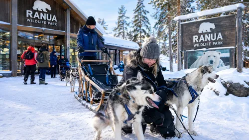 Arrival and Sled Pickup