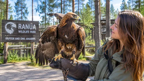Raptor and Owl Aviaries